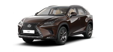 NX 200 2018 -