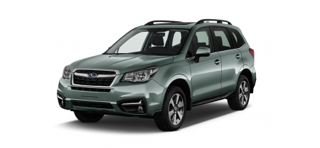 Forester 2013-2019